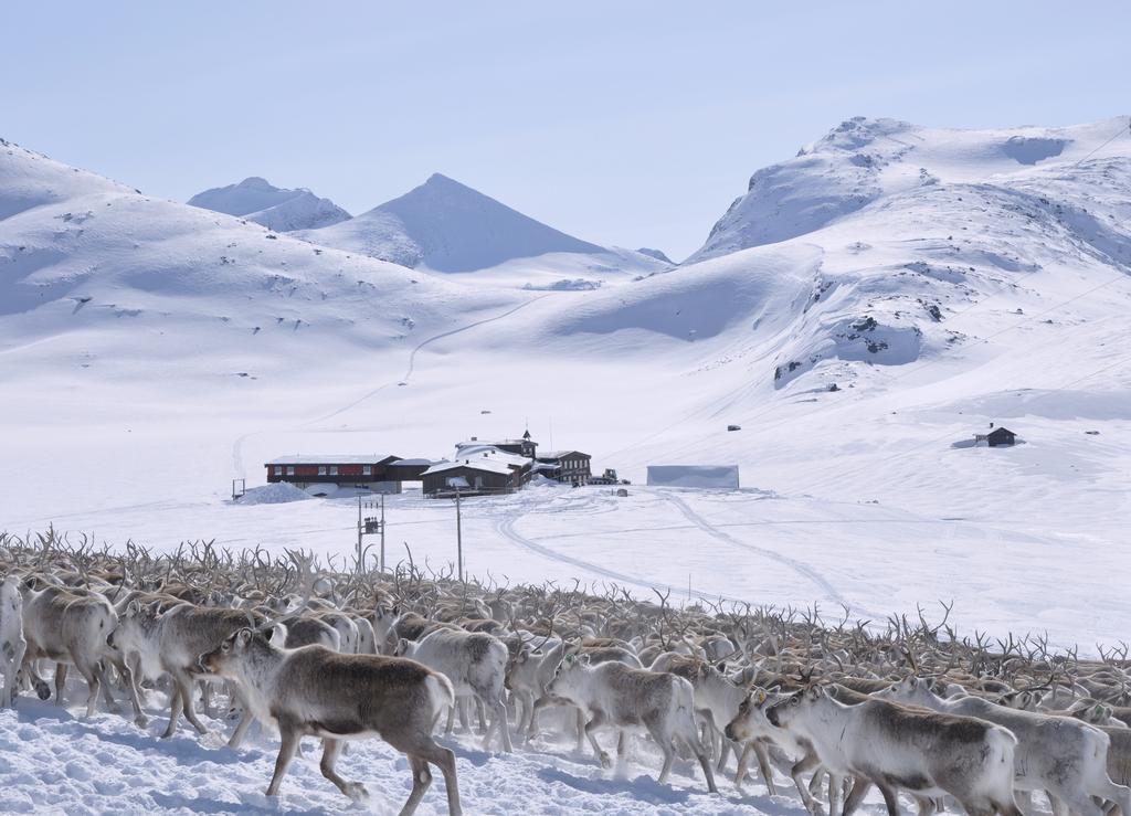 Leirvassbu Fjellstue Hotel Boverdalen Kültér fotó